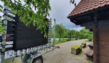 Mobile Business Ideas