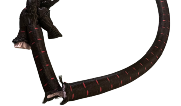 Why Most Eurobungee Operators Replace Bungee Cords Too Late (And What It Really Costs)