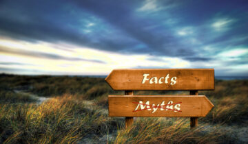 Common Myths About Bungee Trampolines (Debunked by Operators)